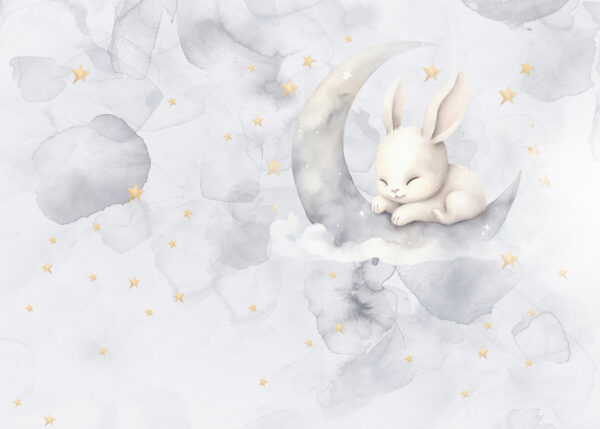 A rabbit on the moon