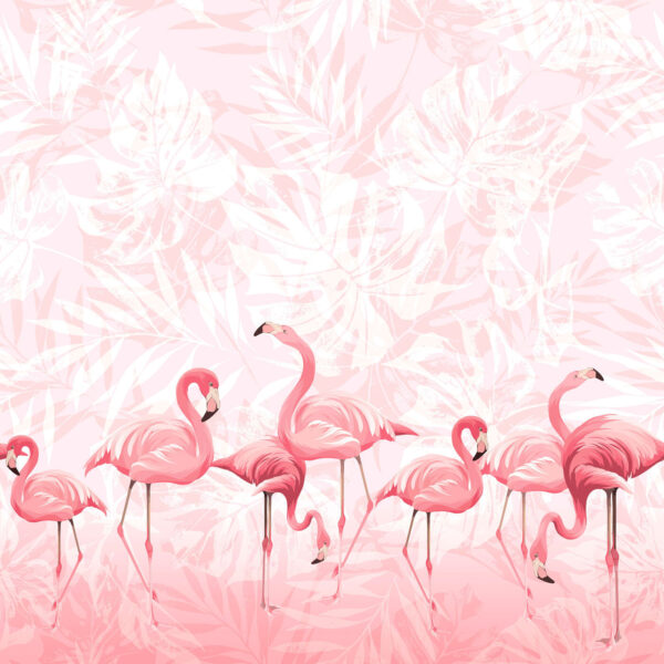 Un grup de flamingo roz Un grup de flamingo roz