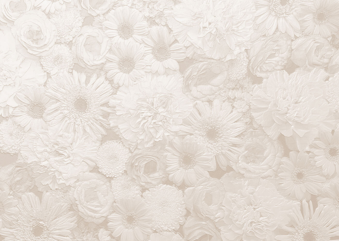 White flower pattern White flower pattern