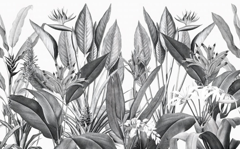 Frunziș tropical în nuanțe monocrome u96833p 1024x634 - Frunziș tropical în nuanțe monocrome