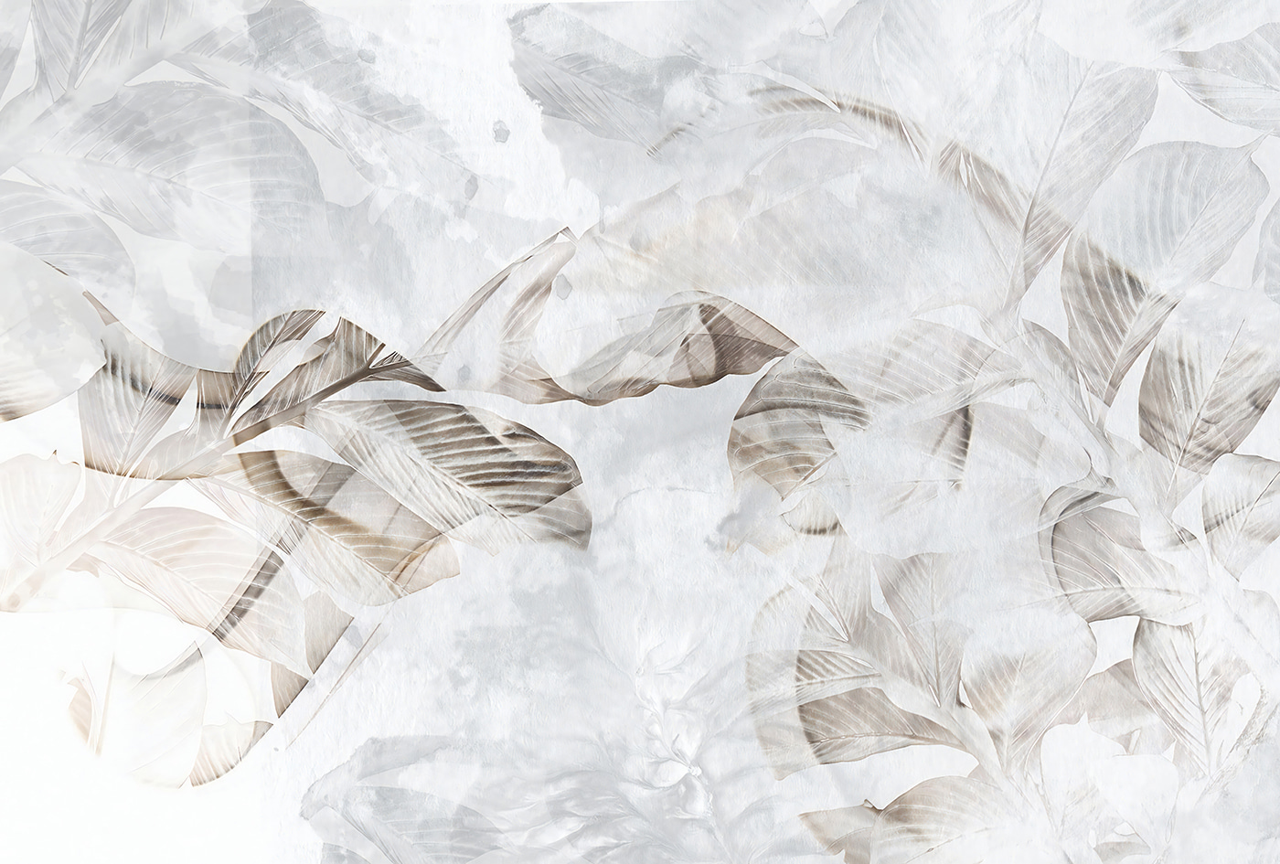 Translucent leaves on soft background