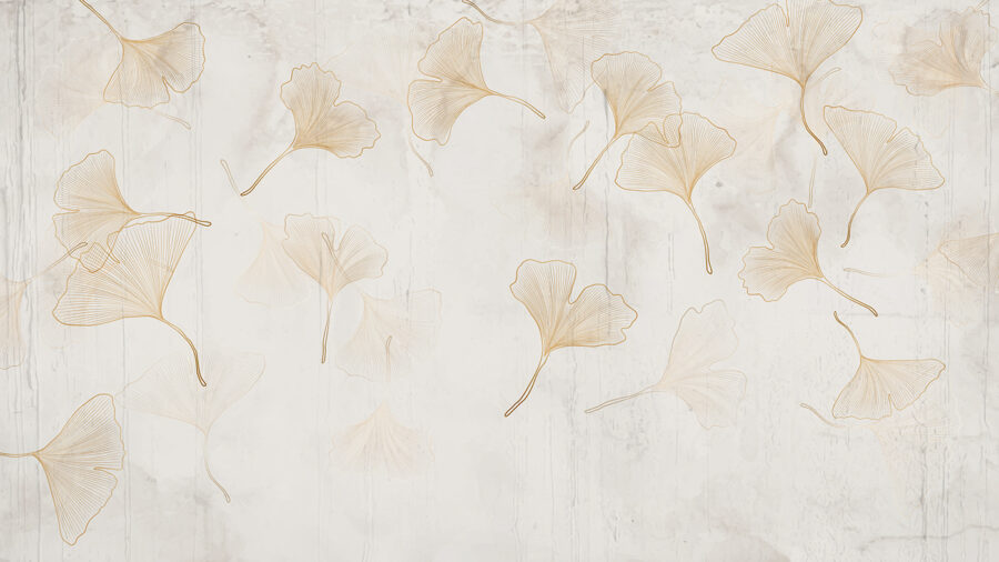 Frunze delicate de ginkgo pe un fundal senin. Frunze delicate de ginkgo pe un fundal senin.