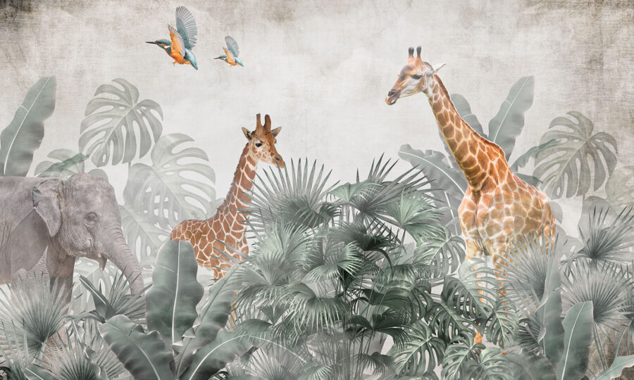 Fototapet Grup de girafe într-o pădure - imagine 4