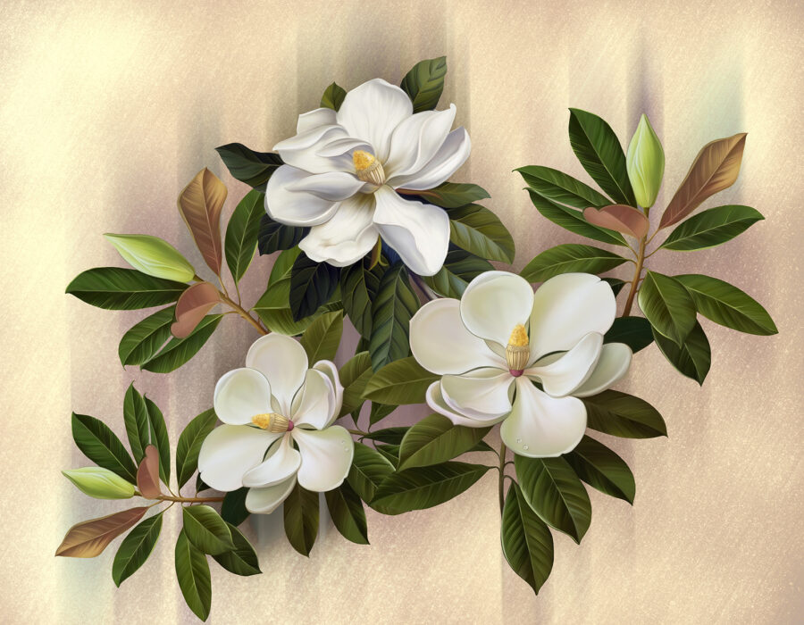 Frumoase flori de magnolie expuse