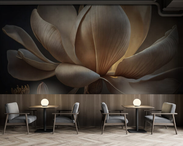 Magnolie grațioasă în lumină blândă. Magnolie grațioasă în lumină blândă.
