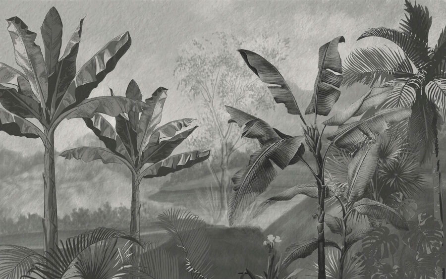 Imagine alb-negru a unei păduri tropicale Imagine alb-negru a unei păduri tropicale