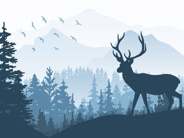 Cerb într-o pădure Cerb într-o pădure