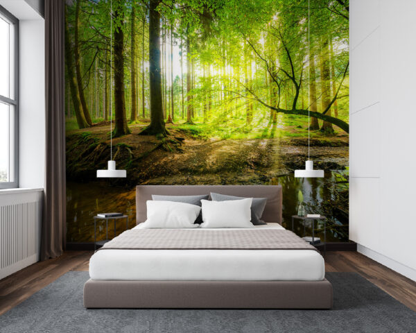 Pârâul într-o pădure Pârâul într-o pădure