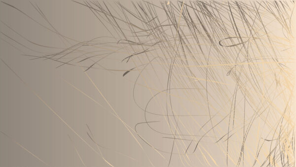 Linii abstracte pe un fundal moale. Linii abstracte pe un fundal moale.