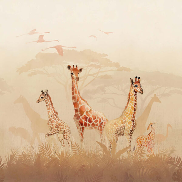Grup de girafe pe un câmp Grup de girafe pe un câmp