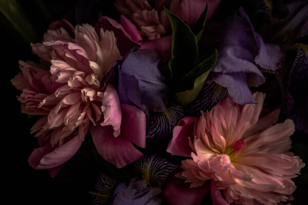 Petale delicate în culori moi u71468p 600x400 - Petale delicate în culori moi - tegory