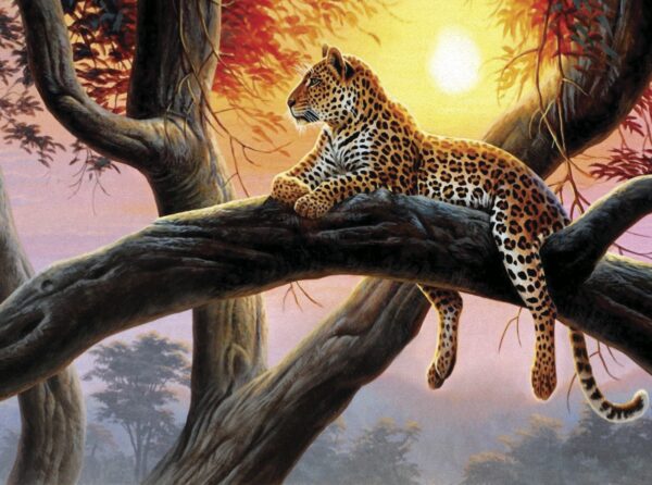 Leopard culcat pe o ramură de copac Leopard culcat pe o ramură de copac