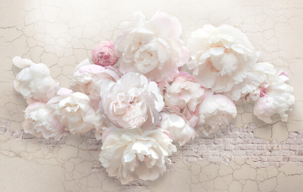 Buchet de flori albe Buchet de flori albe