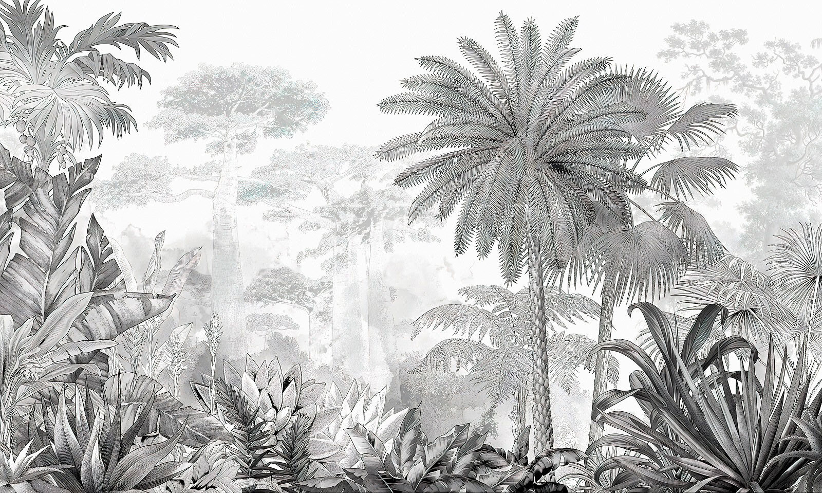 Black and white image of a forest