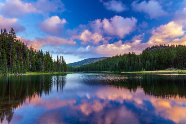 Lac înconjurat de copaci și munți u58610p 600x400 - Lac înconjurat de copaci și munți - tegory