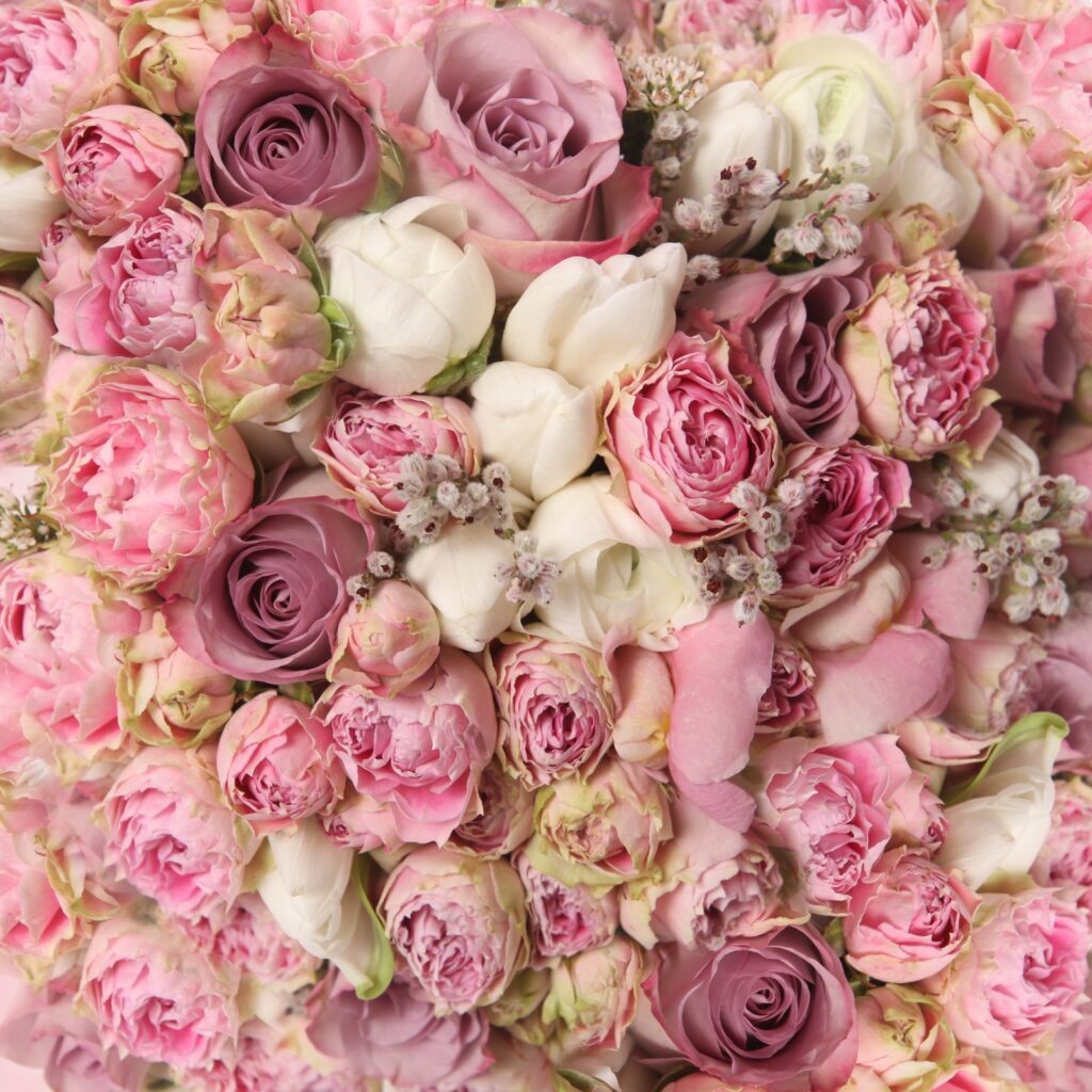 Buchet frumos de trandafiri roz. Buchet frumos de trandafiri roz.