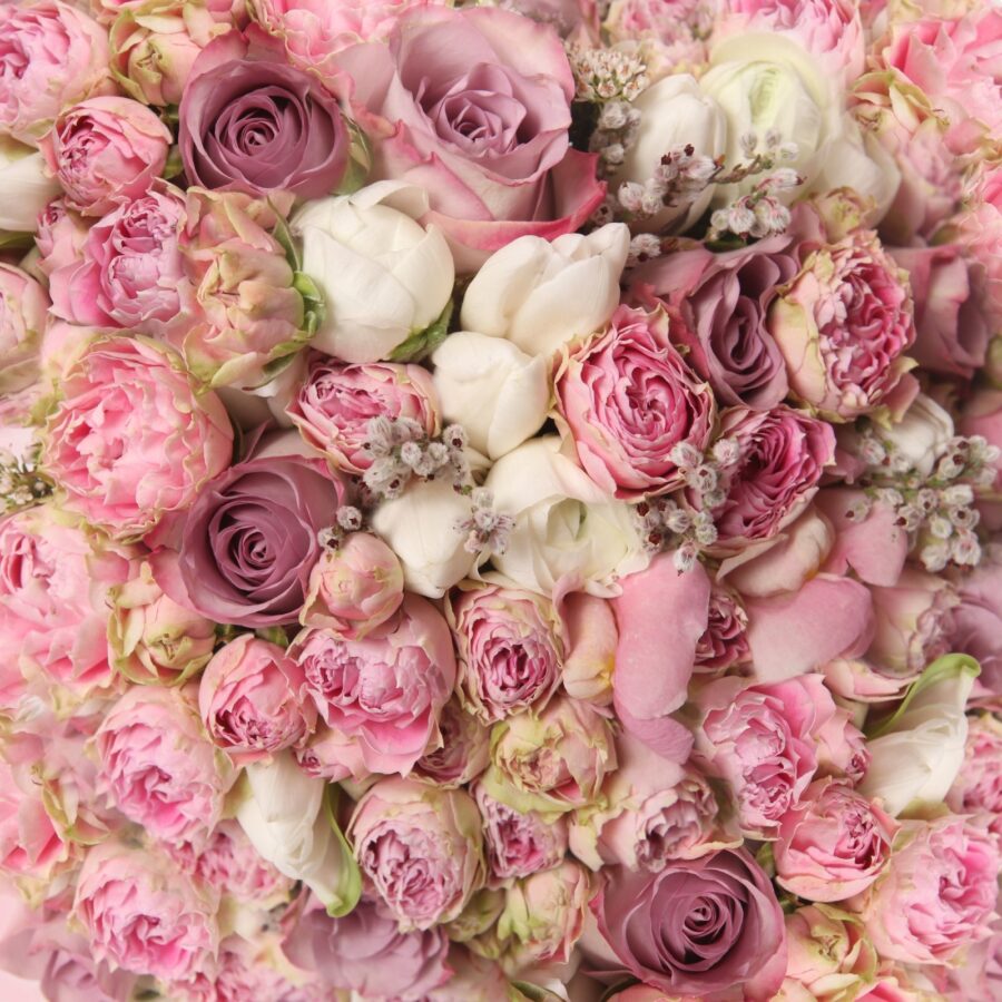 Buchet frumos de trandafiri roz. Buchet frumos de trandafiri roz.
