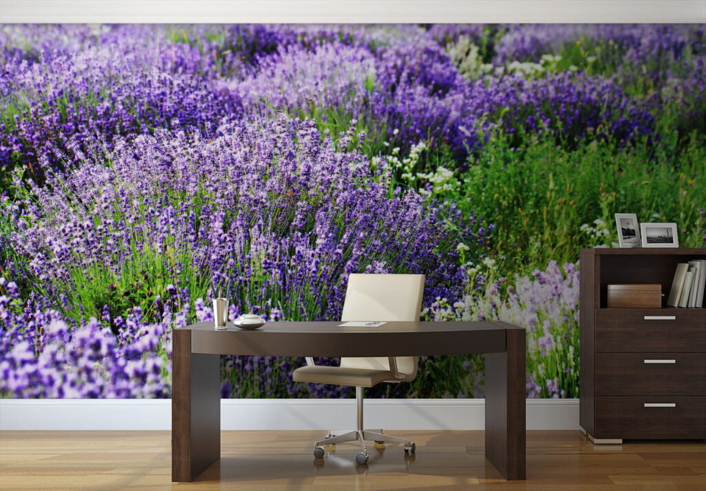 u57293piw1 1024x712 - Câmp de flori mov - tegory