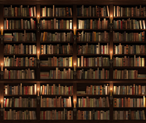 Bibliotecă mare plină de cărți Bibliotecă mare plină de cărți