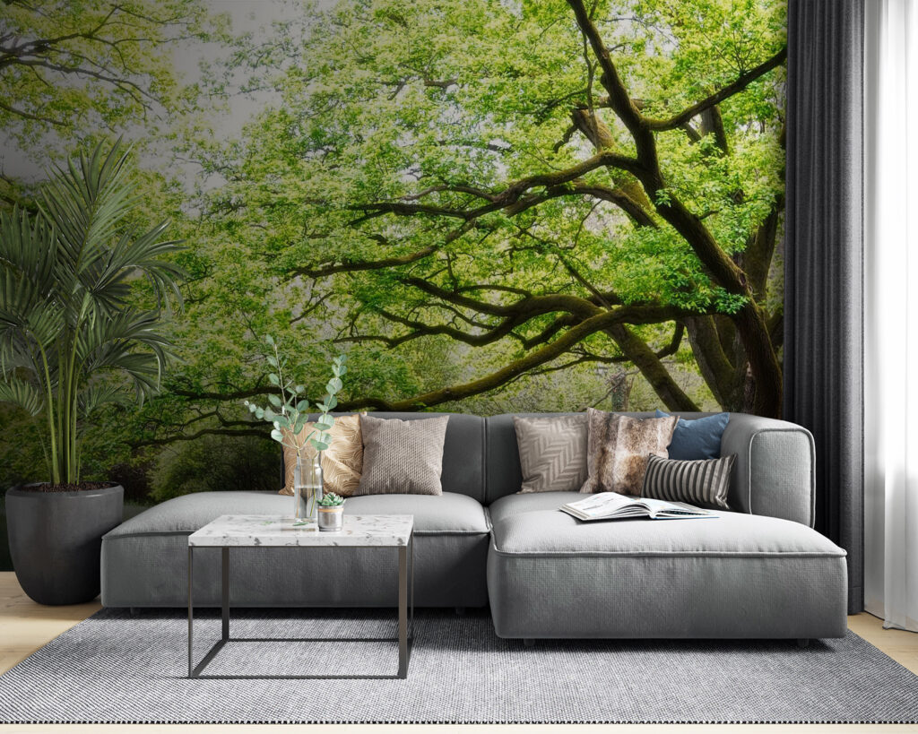 u55659pig53 1024x819 - Un copac cu frunze verzi - tegory