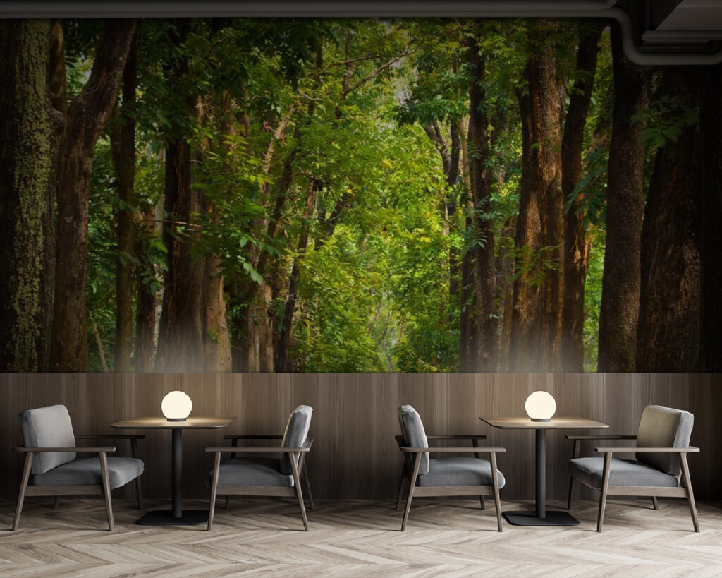 u55418piz137m 1024x819 - Cărare cu copaci pe margine - tegory