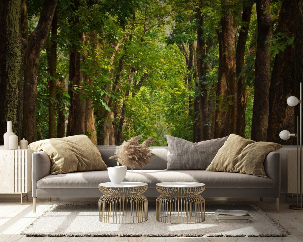 u55418pig9 1024x819 - Cărare cu copaci pe margine - tegory