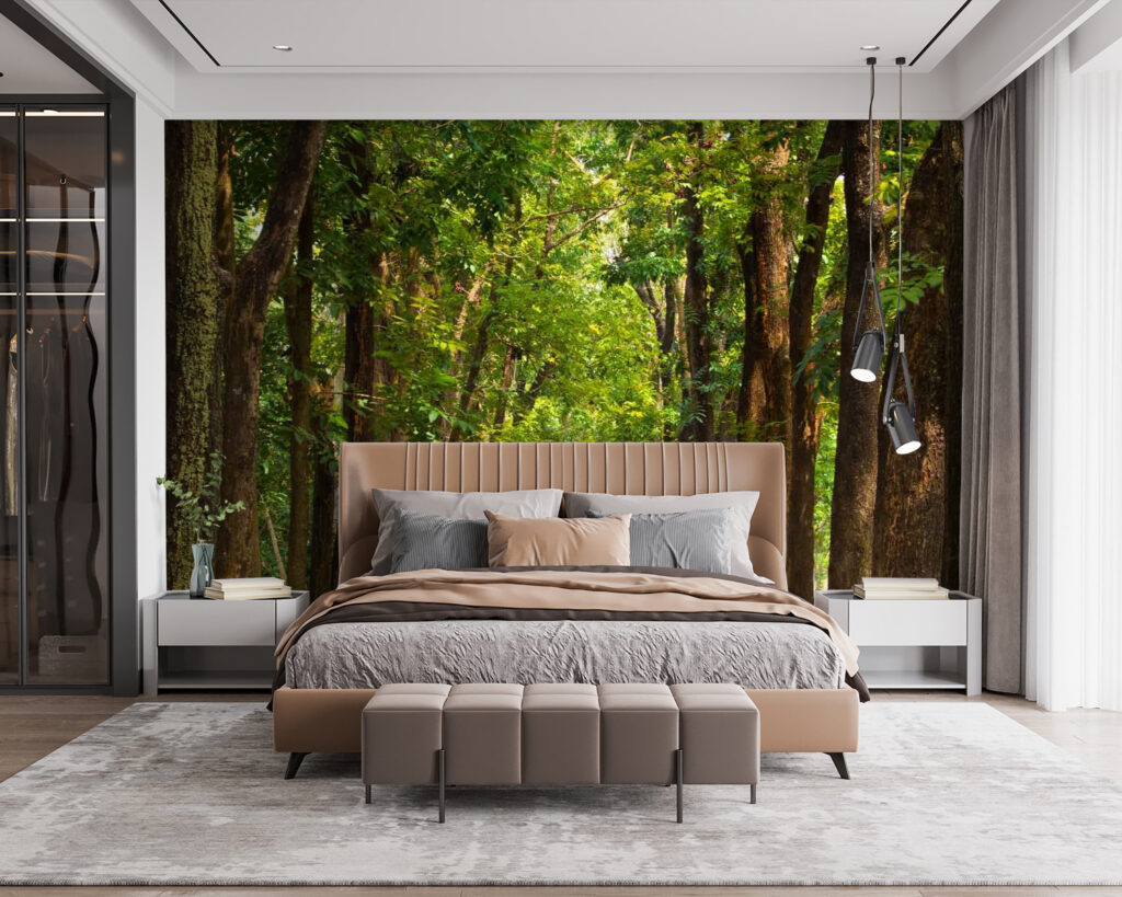 u55418pib115 1024x819 - Cărare cu copaci pe margine - tegory