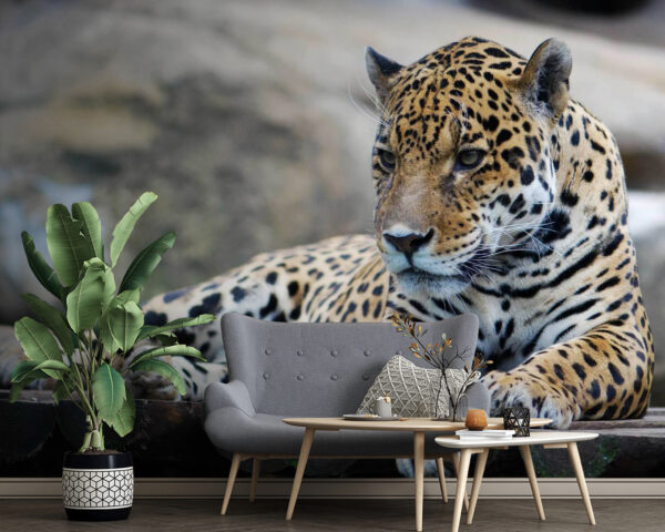 Leopard întins pe o suprafață de lemn Leopard întins pe o suprafață de lemn