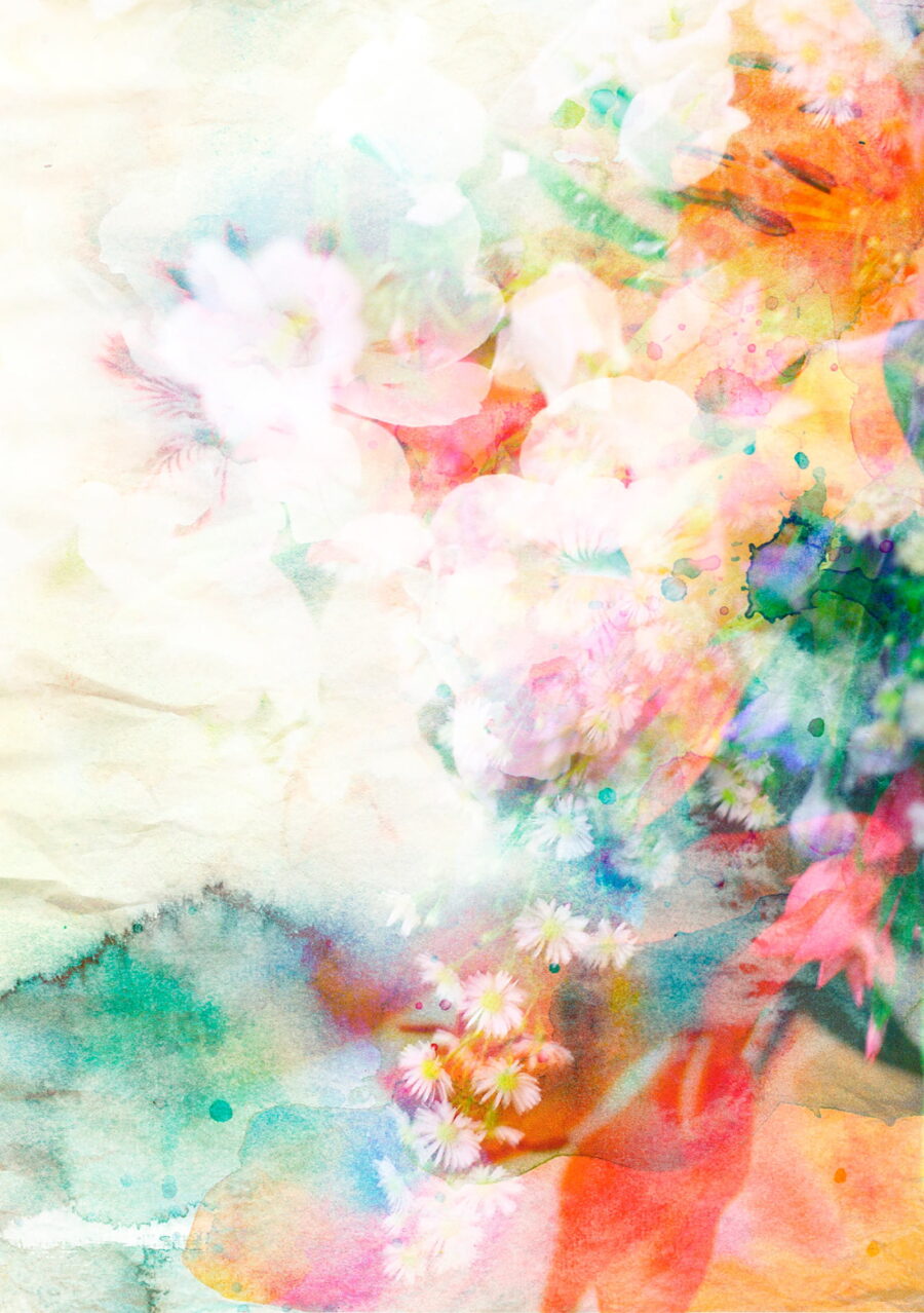 Pictura cu flori colorate