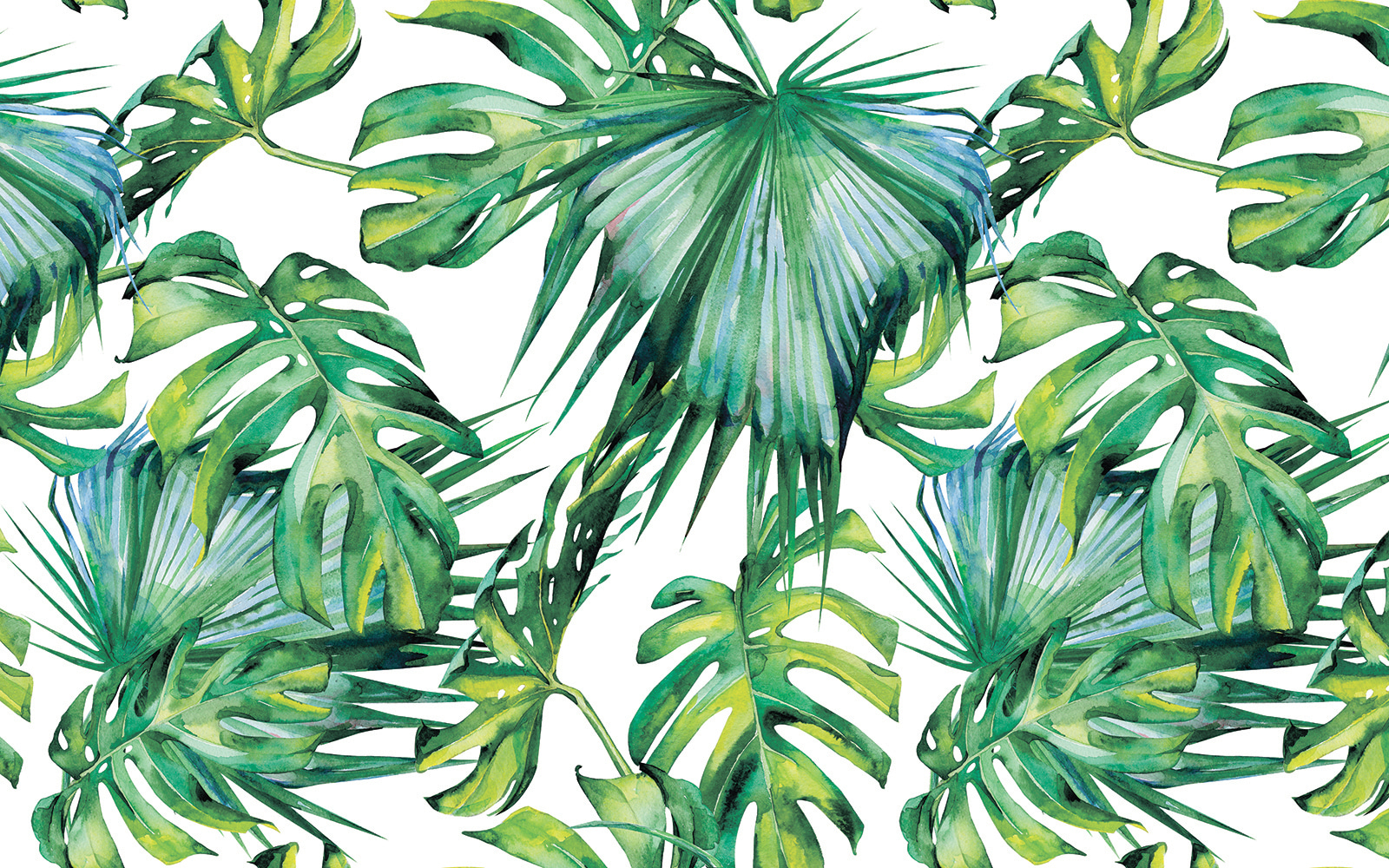 Lush green leaves in vibrant arrangement