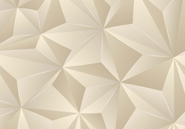 Model geometric elegant în tonuri moi Model geometric elegant în tonuri moi