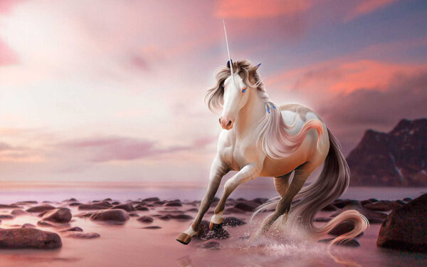 Unicorn care rulează pe apă Unicorn care rulează pe apă