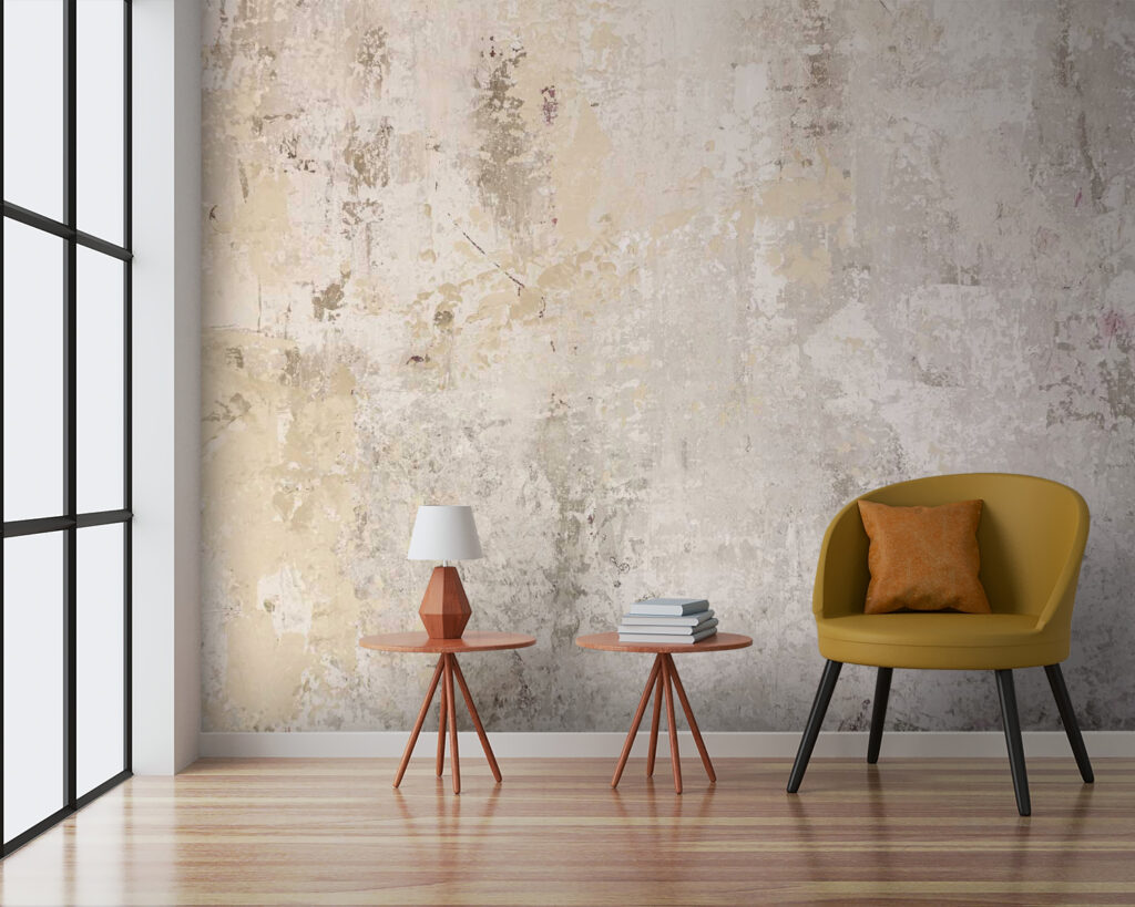 u37091pig3 1024x819 - Perete alb cu zgârieturi și crăpături - tegory