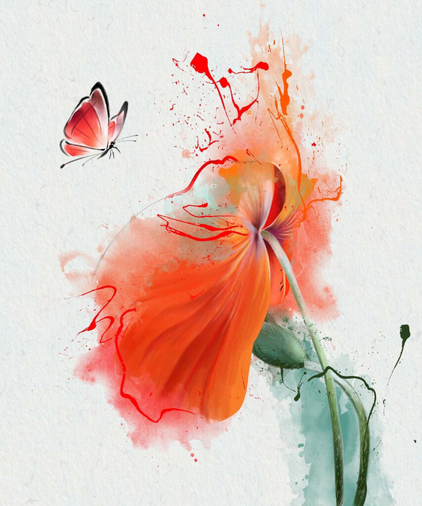 Fluture pe o floare Fluture pe o floare
