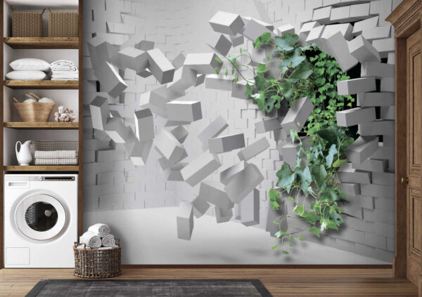 Planta care străpunge un perete Planta care străpunge un perete