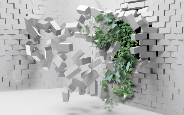 Planta care străpunge un perete Planta care străpunge un perete
