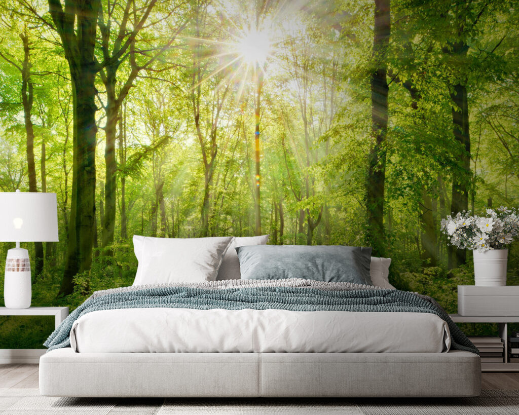 Path through a forest with trees and plants Path through a forest with trees and plants