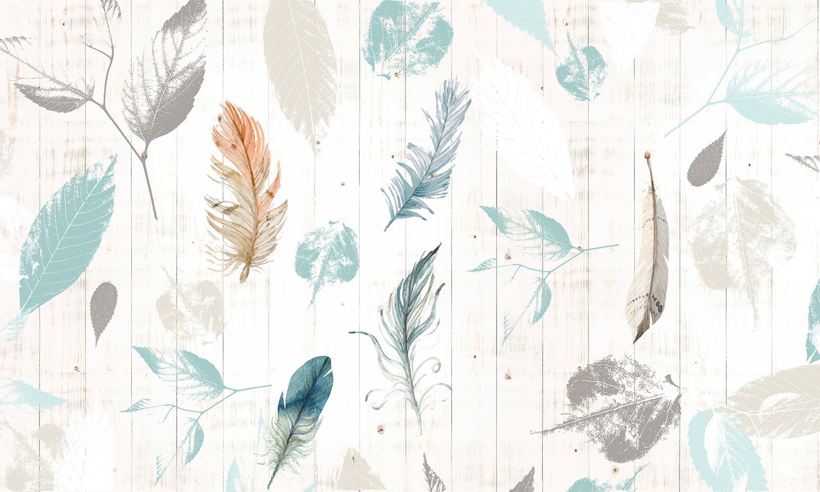 Grup de pene pe o suprafață de lemn u21570p - Grup de pene pe o suprafață de lemn - tegory