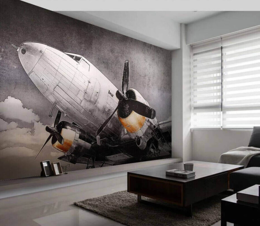 Avion cu elice
