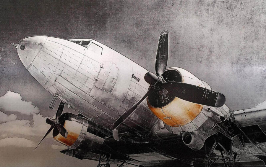 Avion cu elice