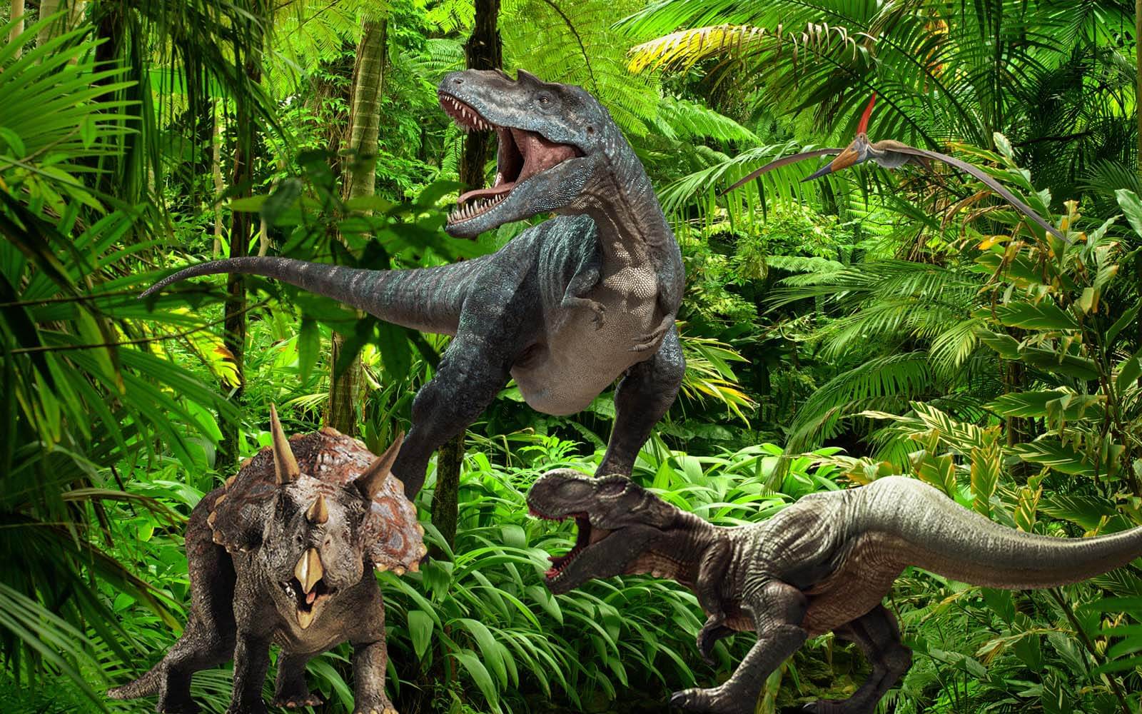 Grup de dinozauri într-o pădure u20726p - Grup de dinozauri într-o pădure - tegory