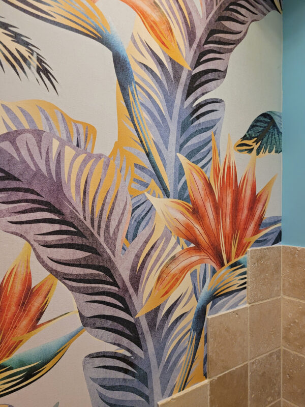 Colorful tropical plants and flowers Colorful tropical plants and flowers