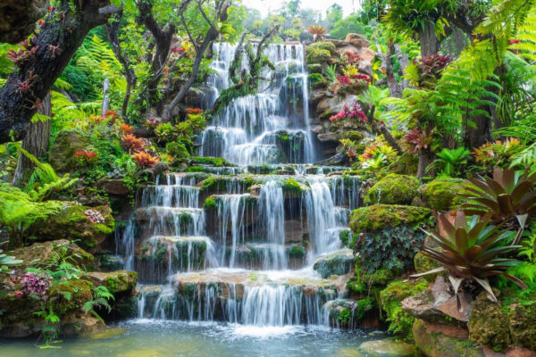 Cascadă într-o grădină tropicală Cascadă într-o grădină tropicală
