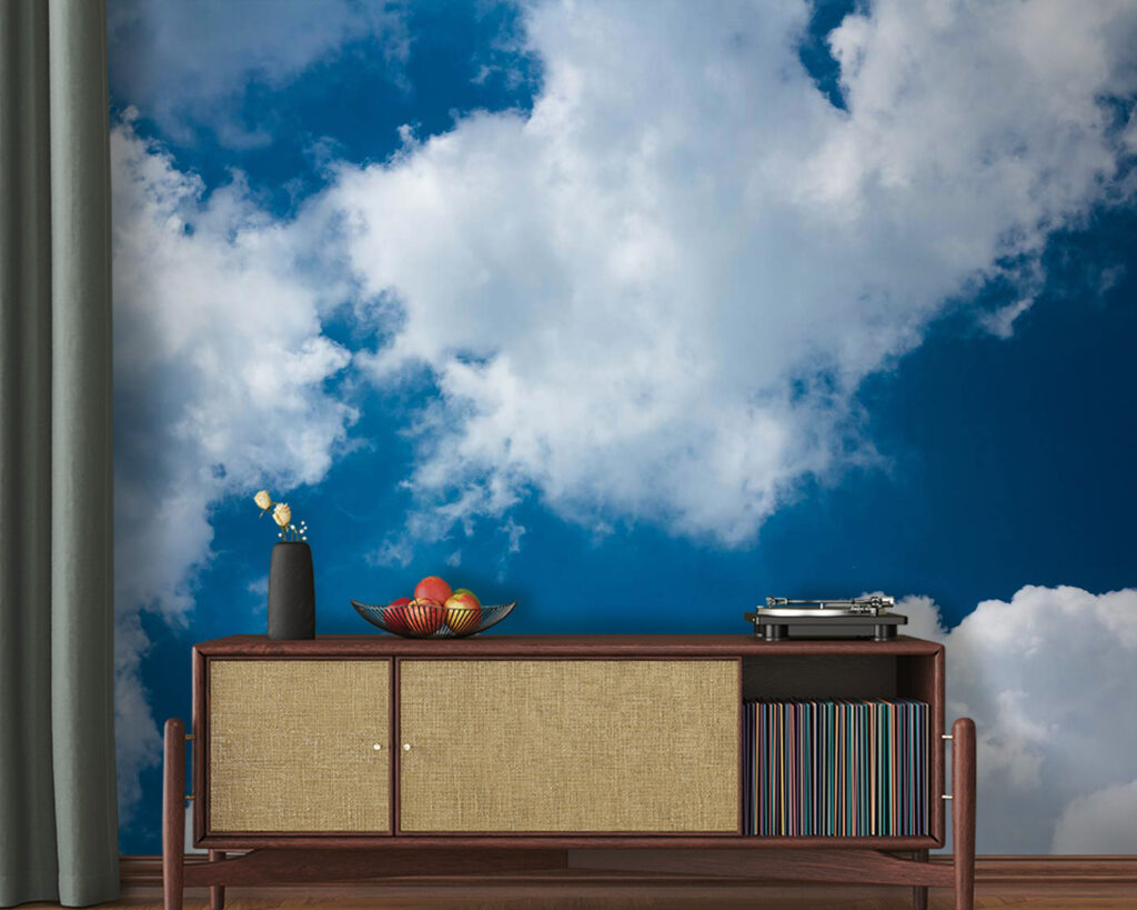 u08651pig20m 1024x819 - Cer albastru cu nori - tegory