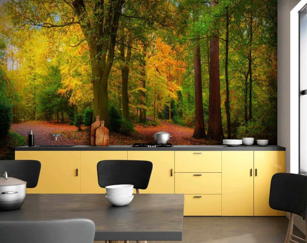 Path with trees and leaves on it Path with trees and leaves on it