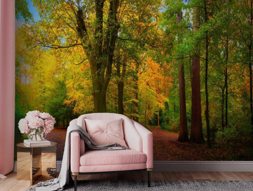 Path with trees and leaves on it Path with trees and leaves on it