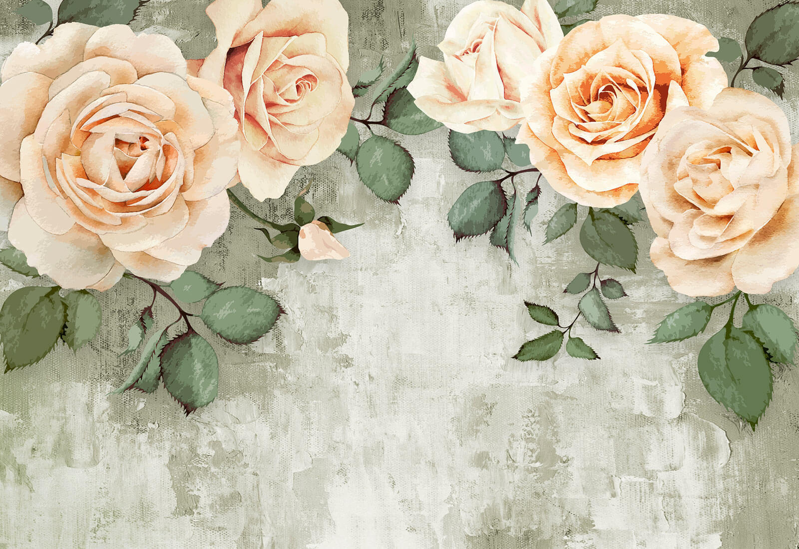 u08545p - Un grup de trandafiri cu frunze - tegory