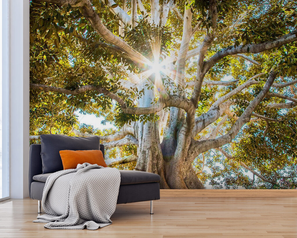 Copac maiestuos în lumina razantă a soarelui u01271pig25 1024x819 - Copac maiestuos în lumina razantă a soarelui - tegory