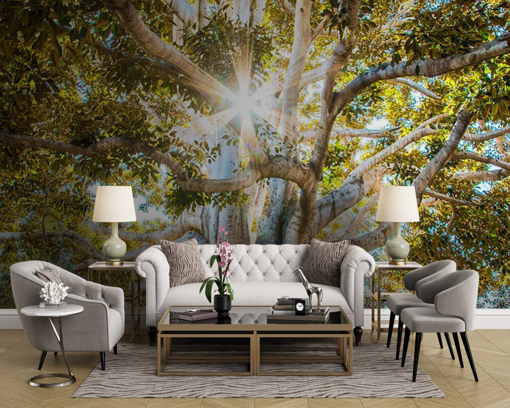 Copac maiestuos în lumina razantă a soarelui u01271pig43m 1024x819 - Copac maiestuos în lumina razantă a soarelui - tegory