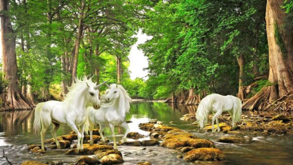 Grup de unicorni albi într-un râu Grup de unicorni albi într-un râu